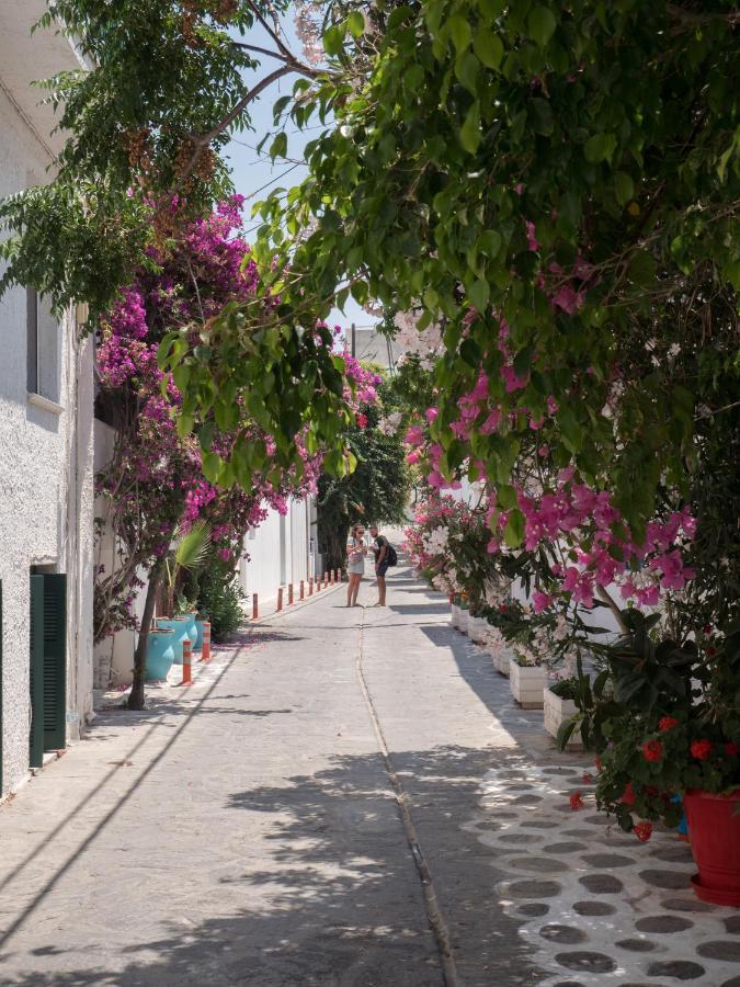 Terra Fos Naxos Studios Naxos City Extérieur photo
